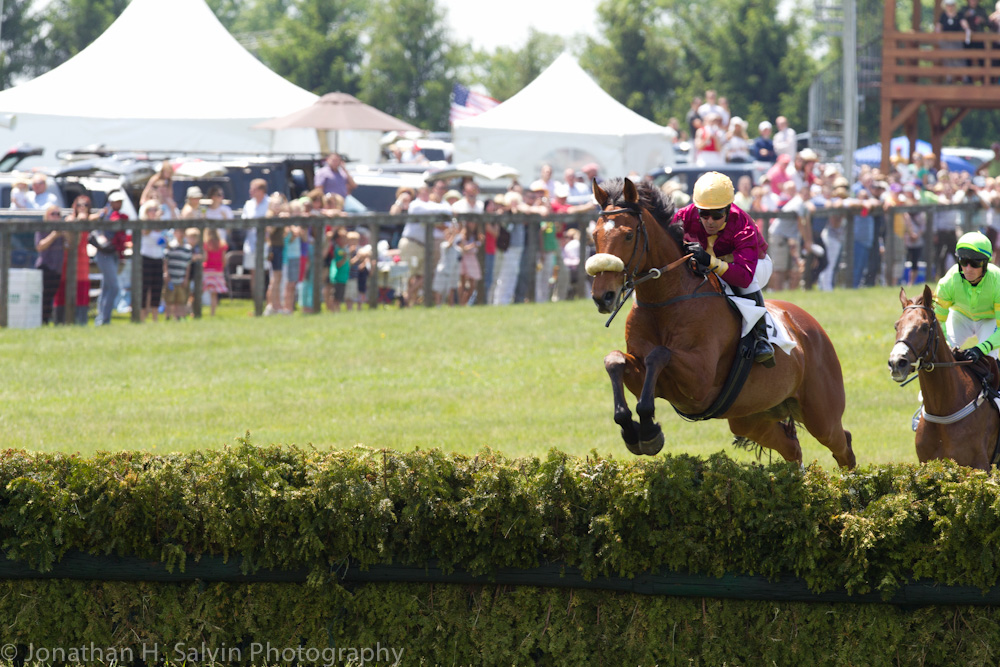Willowdale 2012-157.jpg
