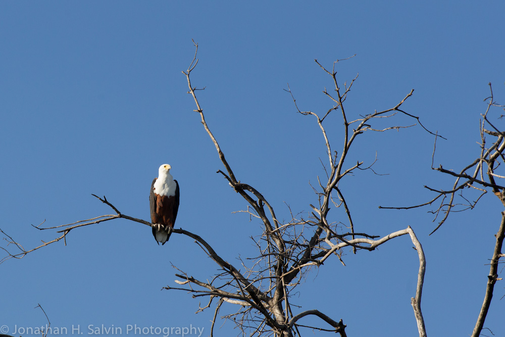 Zambia 2012-17.jpg