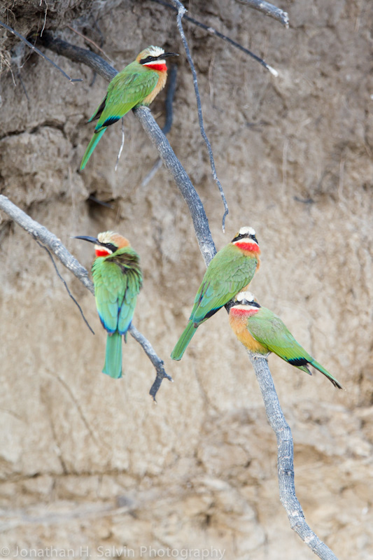 Zambia 2012-91.jpg