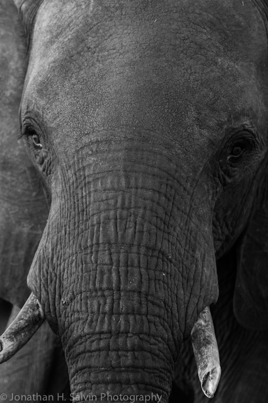 Botswana 2012-278.jpg