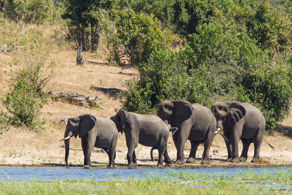 Botswana 2012-624.jpg