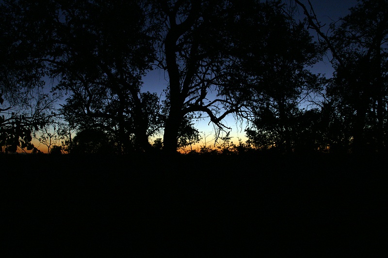 Africa0011.jpg