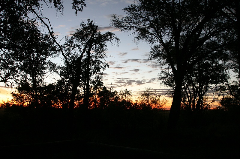 Africa0017.jpg