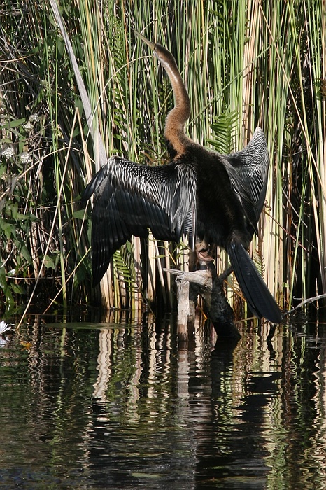 Africa0018.jpg