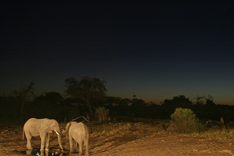 Africa0025.jpg