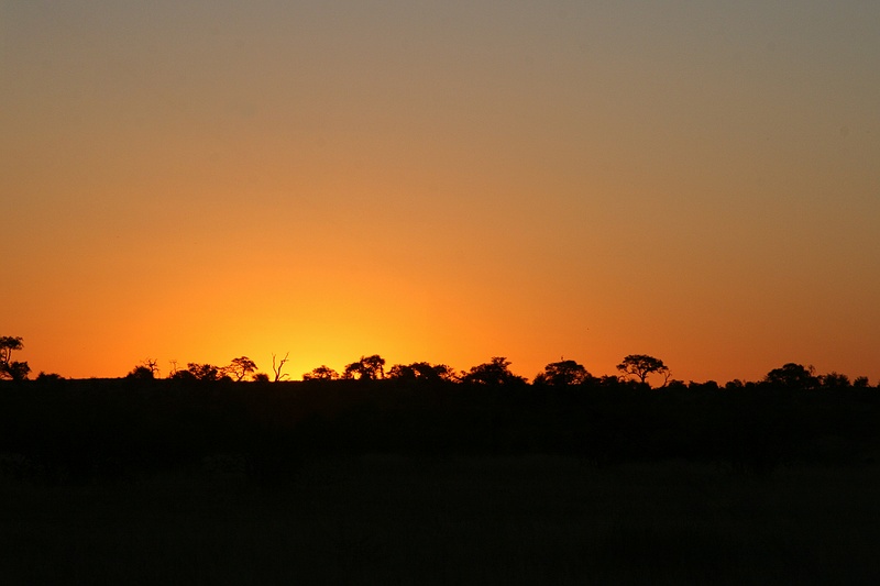 Africa0030.jpg