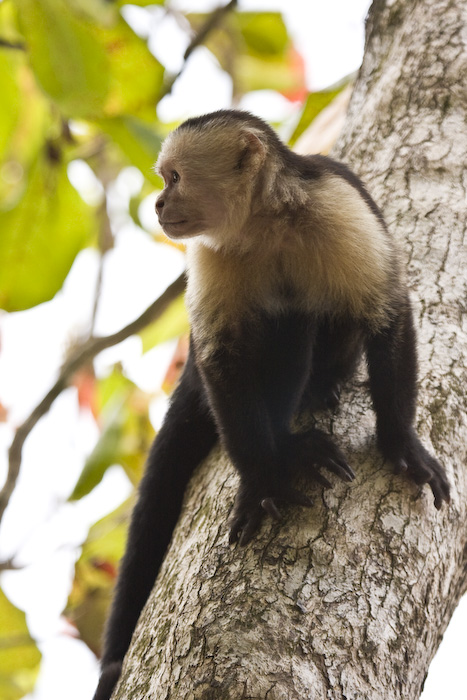 Costa Rica-118.jpg