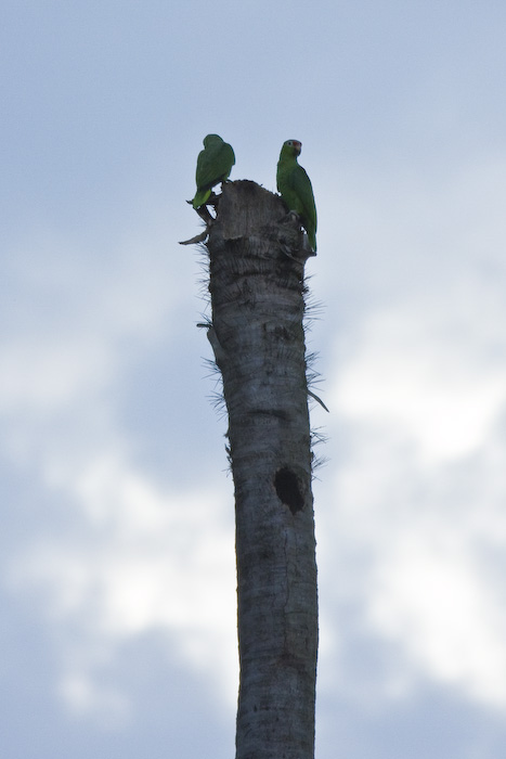 Costa Rica-489.jpg