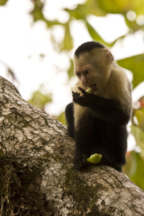 Costa Rica-91.jpg