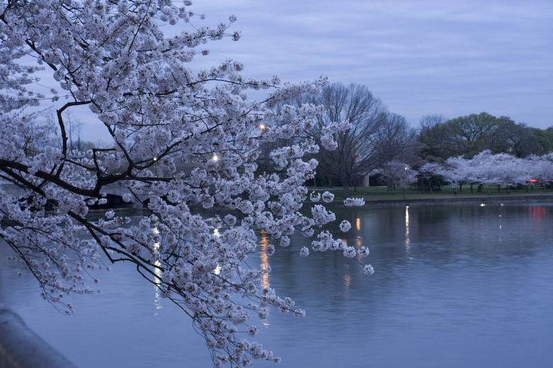 Washington D.C.-6.jpg