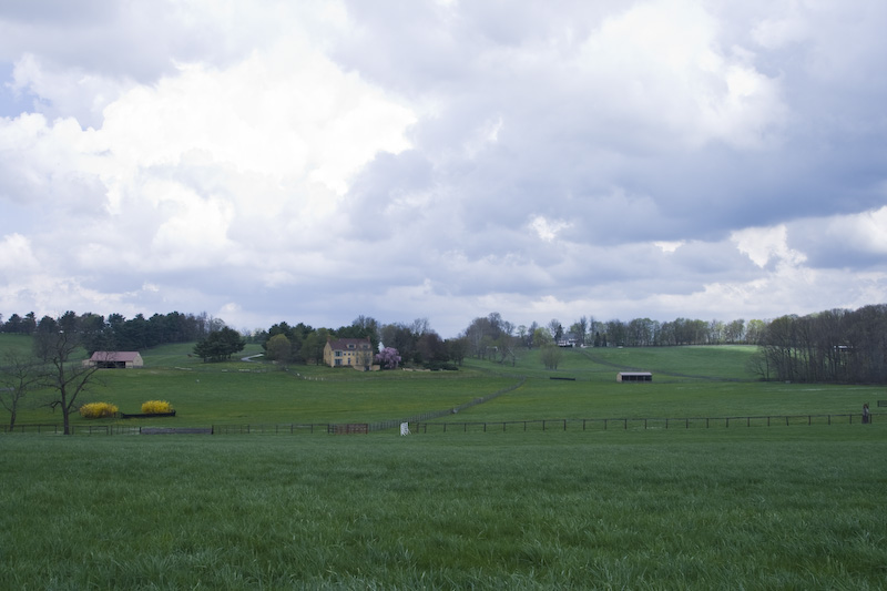 Point to Point April 2008-23-2.jpg