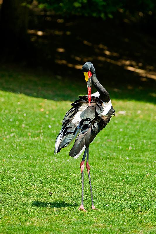 Parc du Chateau de Sauvage _040.jpg