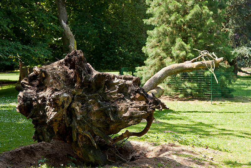 Parc du Chateau de Sauvage _045.jpg
