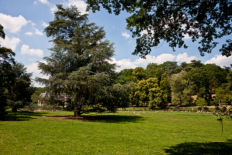 Parc du Chateau de Sauvage _046.jpg