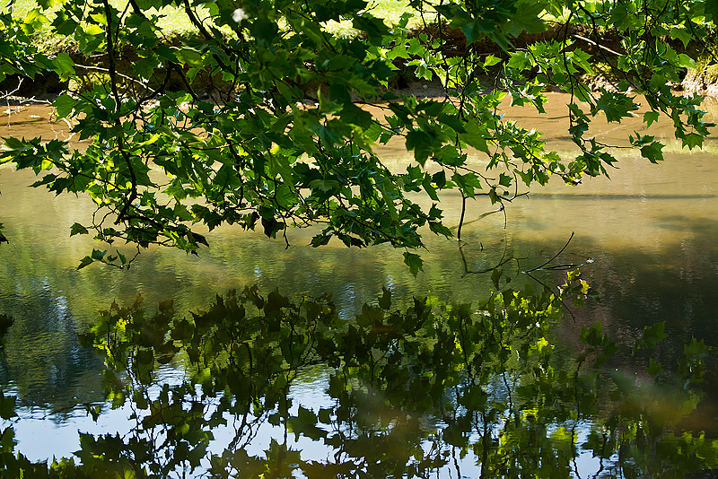 Parc du Chateau de Sauvage _047.jpg