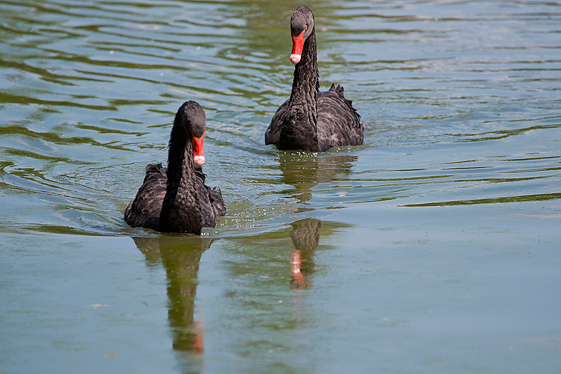 Parc du Chateau de Sauvage _049.jpg