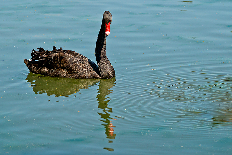 Parc du Chateau de Sauvage _051.jpg