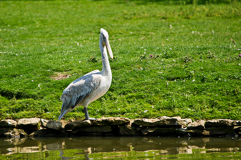 Parc du Chateau de Sauvage _056.jpg