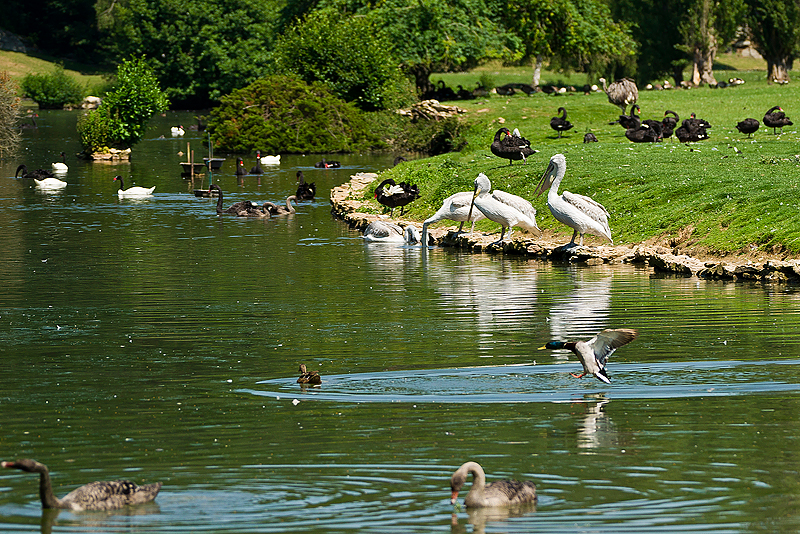 Parc du Chateau de Sauvage _057.jpg