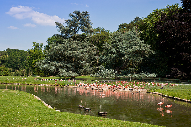 Parc du Chateau de Sauvage _060.jpg