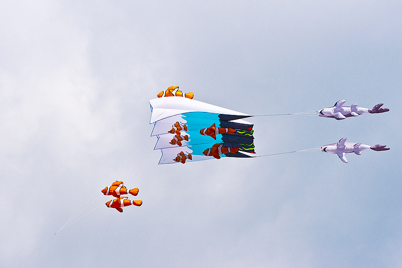 Festival International Du Cerf-Volant Dieppe 2010_025.jpg