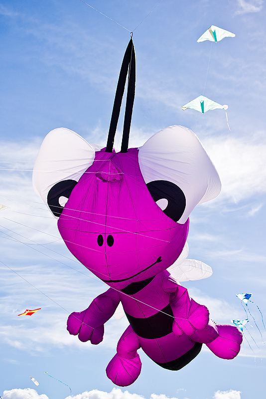 Festival International Du Cerf-Volant Dieppe 2010_026.jpg