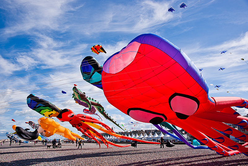 Festival International Du Cerf-Volant Dieppe 2010_027.jpg