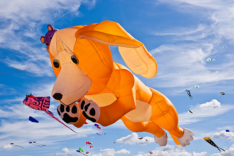 Festival International Du Cerf-Volant Dieppe 2010_030.jpg