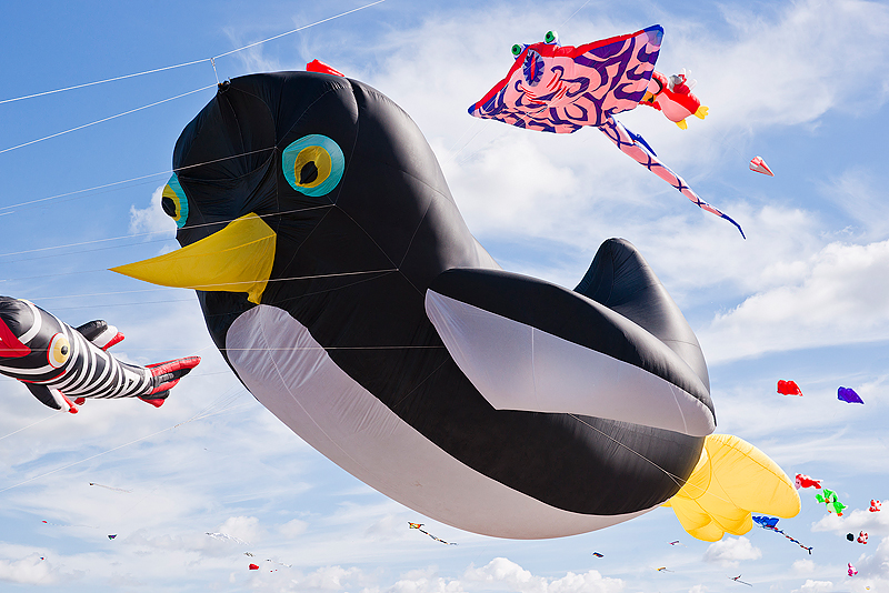 Festival International Du Cerf-Volant Dieppe 2010_033.jpg