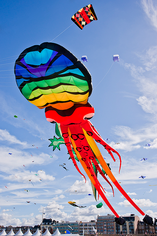 Festival International Du Cerf-Volant Dieppe 2010_035.jpg