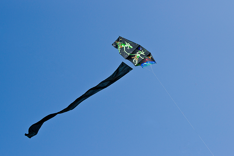 Festival International Du Cerf-Volant Dieppe 2010_036.jpg