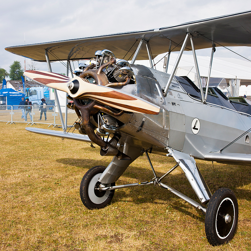 La Ferte Alais 2011_005.jpg