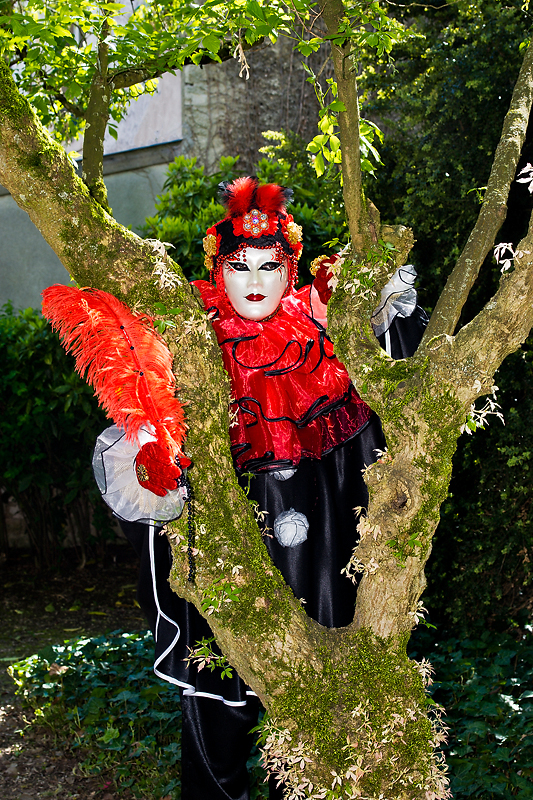 Carnaval de Verdun 2012 _061.jpg