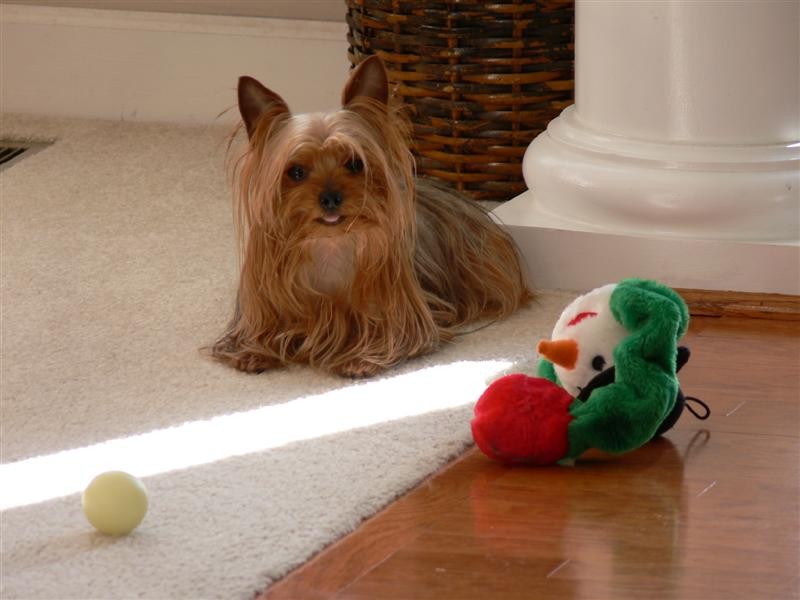 Zoe and her Snowman