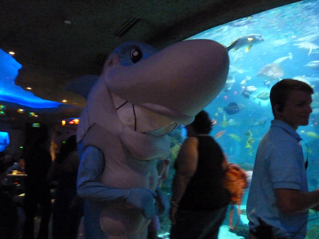 Sharky