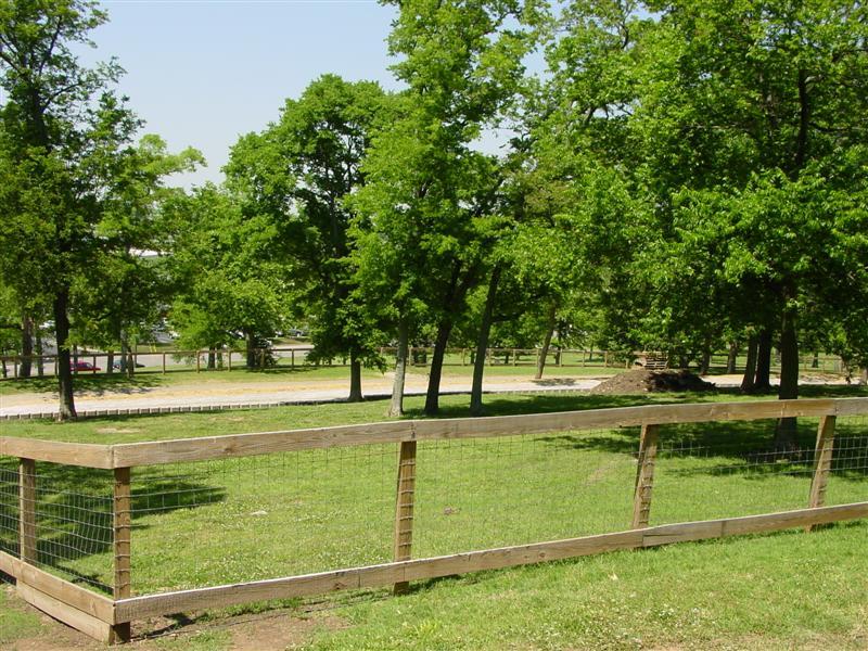 Large dog area
