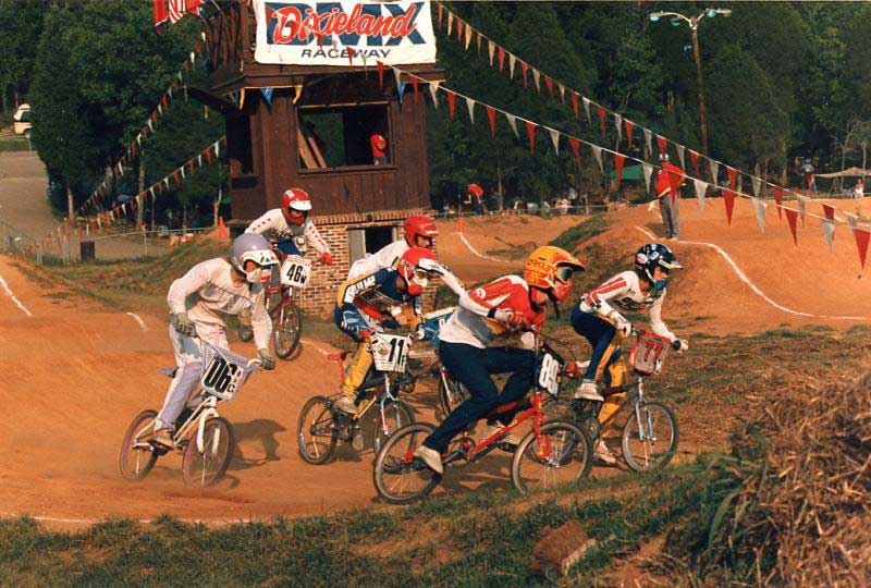 Dixieland BMX (Skip in lavender) SE Quad