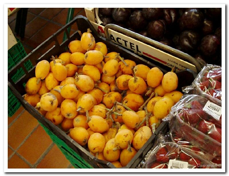 Loquats (Nisperos).jpg