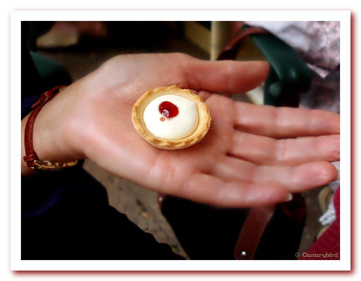 Camembert & Cranberry tart.jpg