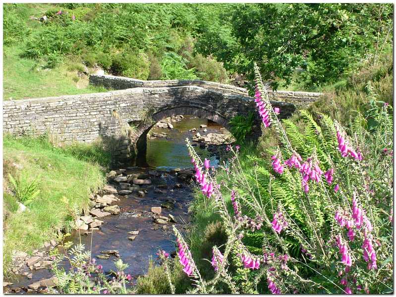 Packhorse bridge  0118