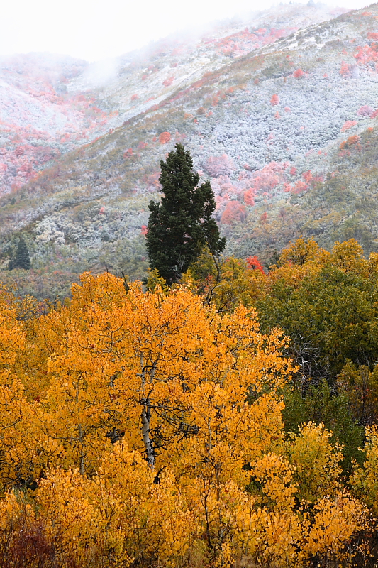 IMG_9816.JPG