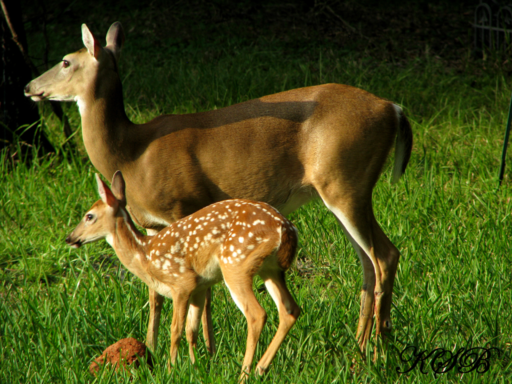 Mom & Baby