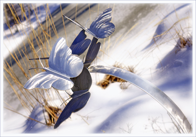 Feb 19, 2010<br>Winter Flight