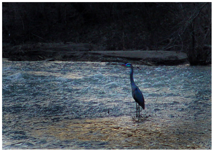 april 8<br>GBH