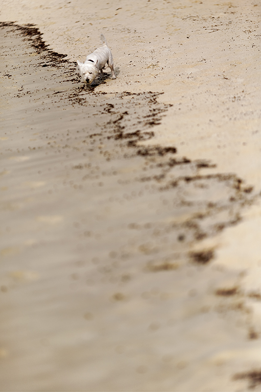 IMG_1098_DxO.jpg