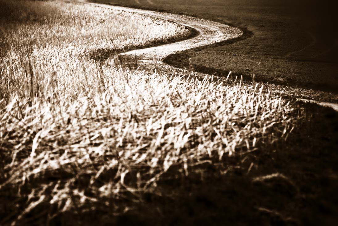 A Winding Road