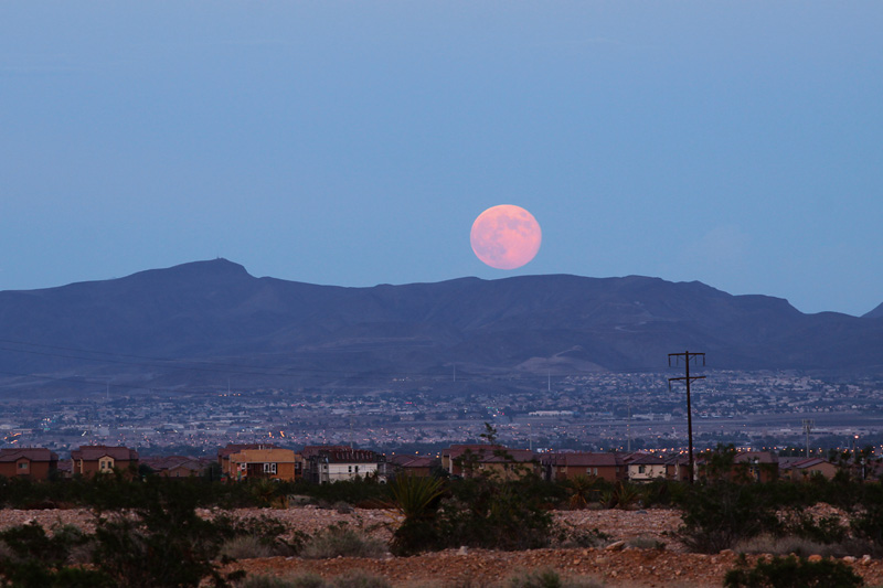 Blue Moon of August