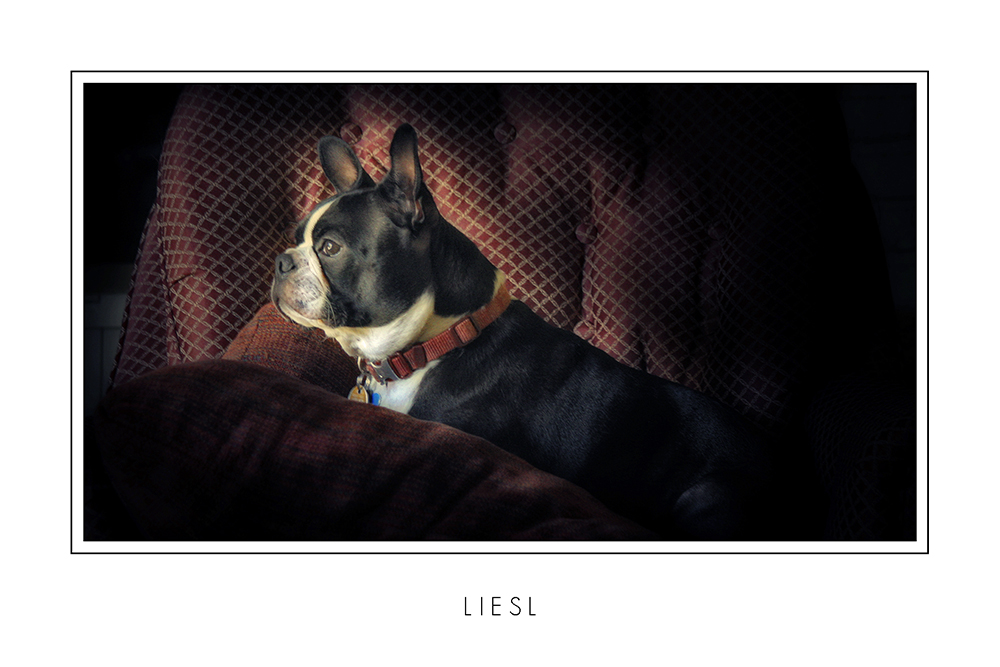 Liesl.jpg