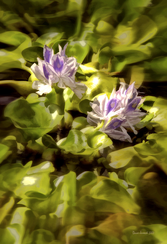 Painted Version for pbase.jpg