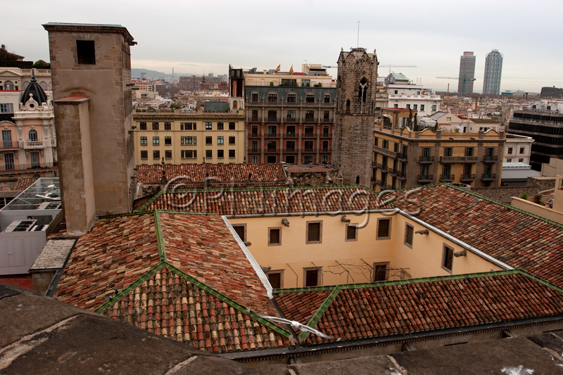 From the roof of Barcelona Cathedral (La Seu)